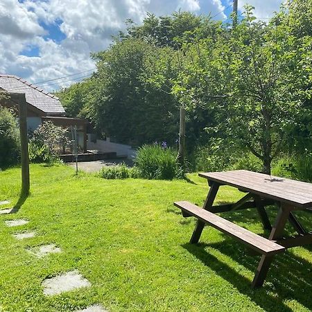 Quirky Cottage With Private Garden Nr New Quay Cardigan Bay Llandysul Exterior photo